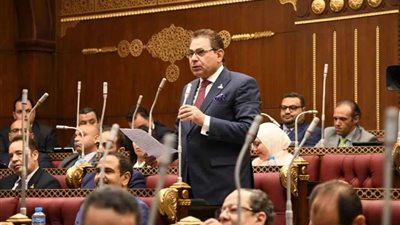 عضو الشيوخ: مخرجات القمة الإفريقية الروسية تضمنت بلورة نظام عالمي عادل متعدد الأقطاب