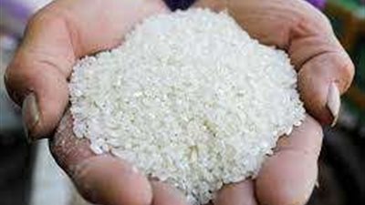أسعار الأرز تواصل الارتفاع قبل موسم الحصاد وتوقف الهند وعدد من دول آسيا عن تصديره