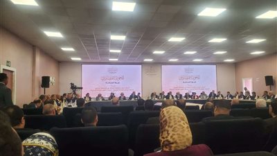 الحوار الوطني.. عضو تنسيقية الأحزاب يطالب باعتماد التصويت الإلكتروني في الانتخابات