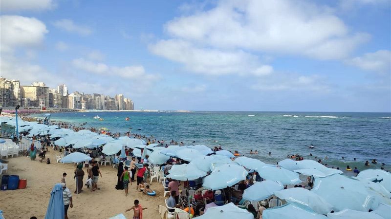شواطئ الإسكندرية
