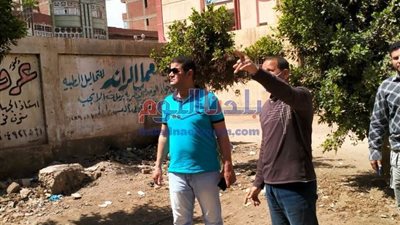 أعمدة ديكورية حديثة بشارع سعد زغلول بأشمون