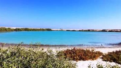 8 أنواع للمحميات الطبيعية فى مصر.. تعرف عليها