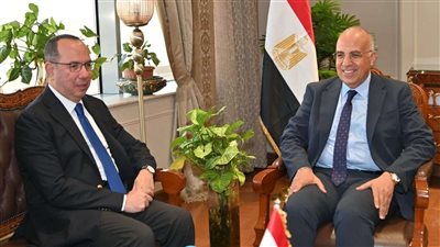 وزير الري يستعرض موقف المشروعات التنموية المشتركة بين مصر وجنوب السودان