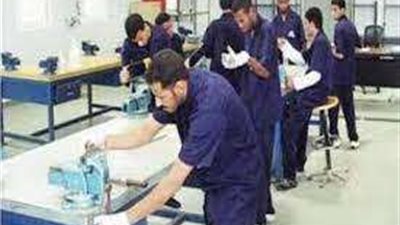 خبيرة اقتصادية: اهتمام الدولة بالتعليم الفني خلق تخصصات لم تكن متواجدة.. فيديو