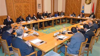 مصر تسلم مساعدات طبية وإنسانية إلي غينيا الاستوائية