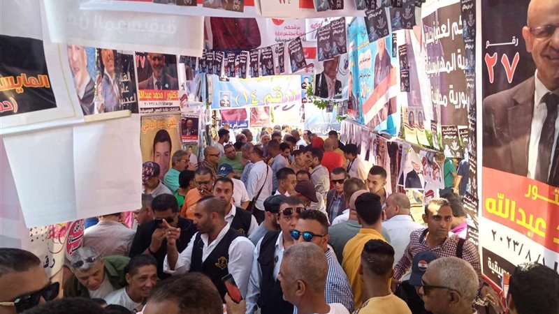 انتخابات نقابة المهن