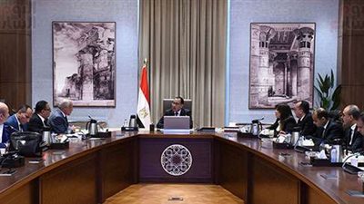 رئيس الوزراء يتابع الموقف التنفيذي للأعمال بالمتحف المصري الكبير وتطوير المنطقة المحيطة