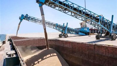 المنوفية.. توريد ما يقرب من 30  ألف طن قمح منذ بدء موسم الحصاد