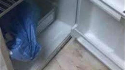 مفاجآت جديدة في واقعة سيدة الثلاجة بالإسكندرية