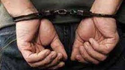 القبض على المتهم بالشروع في قتل حماته بالجيزة