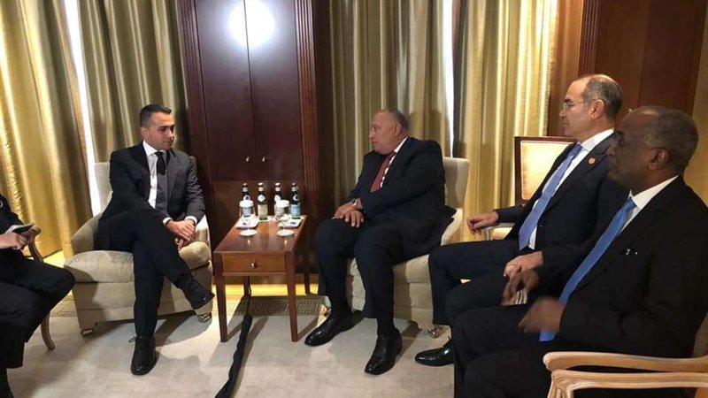 وزير الخارجيه المصري