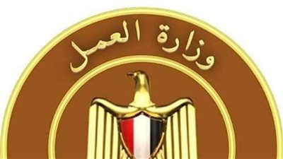 الدولة المصرية تهتم بملف مكافحة أسوأ أشكال عمل الأطفال