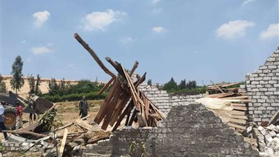 تحرير 5 آلاف و735 محضر تبوير وإعادة زراعة 1323 حالة بالمنوفية