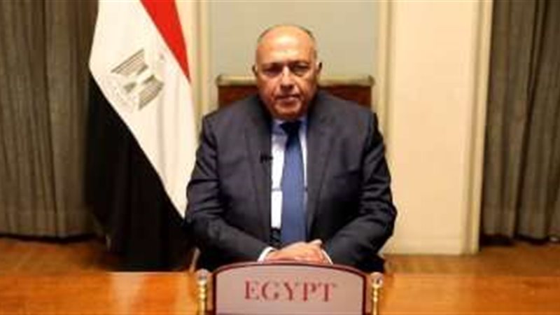 سامح شكري وزير الخارجية