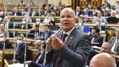 سيد شمس الدين: قرارات العفو الرئاسي اصبحت سنة حسنة