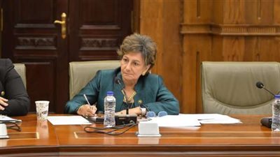 برلمانية: علاقة مصر والإمارات تزداد قوتها يومًا تلو الآخر