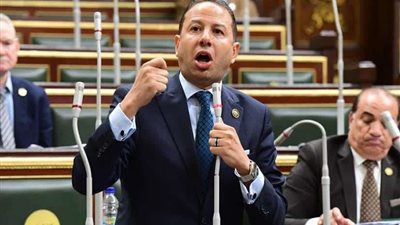 النائب حسن عمار: توقيع 12 اتفاقية بين مصر والأردن لضخ دماء جديدة في مسار التكامل العربي