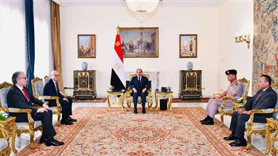 السيسى يستقبل نائب رئيس الوزراء وزير الدفاع بجمهورية صربيا