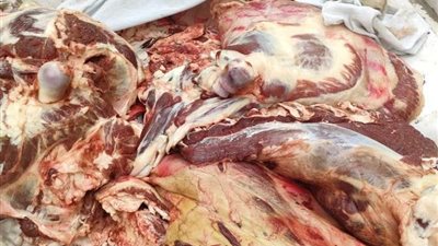 ضبط 3 طن لحوم غير صالحة للاستهلاك الآدمي بالقليوبية