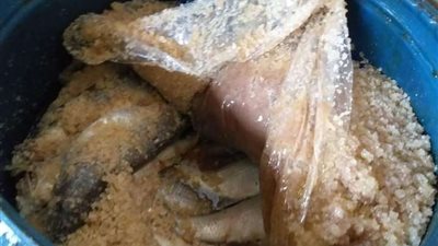 عاجل.. الصحة توجه مناشدات وتحذيرات هامة للمواطنين