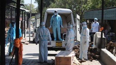 نكشف حقيقة دخول السلالة الهندية مصر