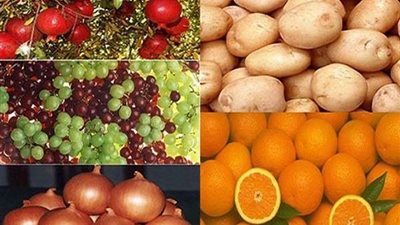 قفزة في الصادرات الزراعية المصرية خلال 2023.. تفاصيل