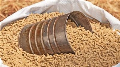 نقيب الفلاحين: أسعار الأعلاف في الأسواق تتراجع  وتصل  إلى 600 جنيه