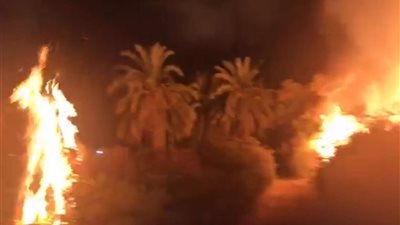 السيطرة على حريق مزرعة نخيل بالواحات البحرية