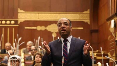 برلماني: صندوق تحيا مصر استكمالا لجهود الدولة في تحقيق التنمية الشاملة