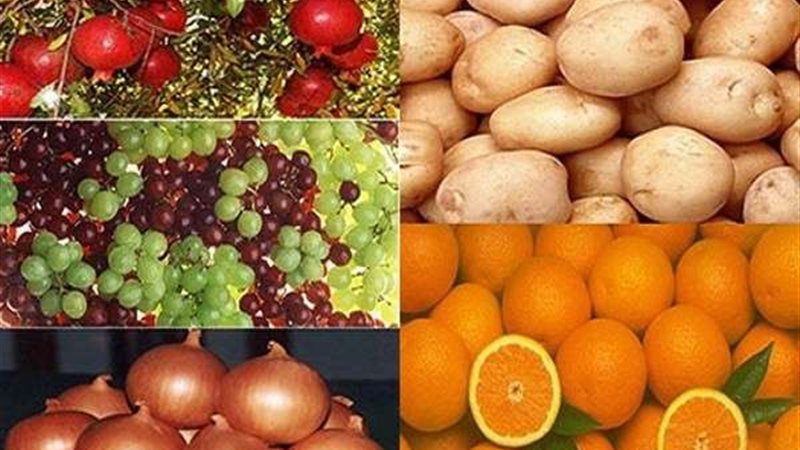 الصادرات الزراعية
