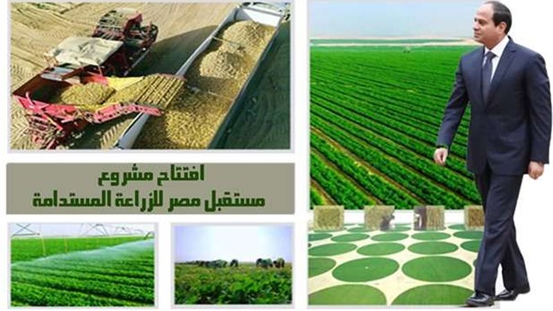 مشروع مستقبل مصر