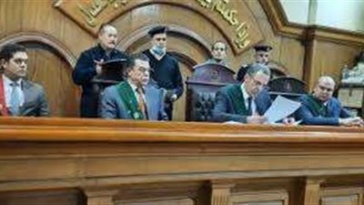 المشدد 7 سنوات للمتهم بقتل زوجته ببلطة في الجيزة