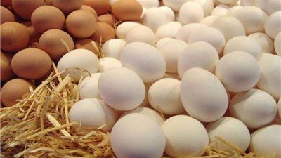 بشرى للمواطنين.. انخفاض سعر البيض اليوم في الأسواق