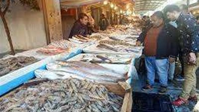 تعرف على أسباب استقرار أسعار الأسماك اليوم 14 - 8 - 2023