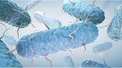 الصحة ترد على سؤال برلماني بشأن مكافحة جرثومة 