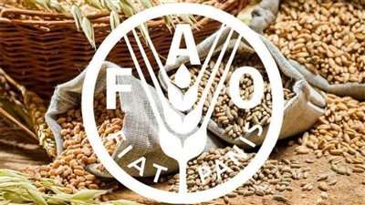 خبير الاستراتيجي بـ 