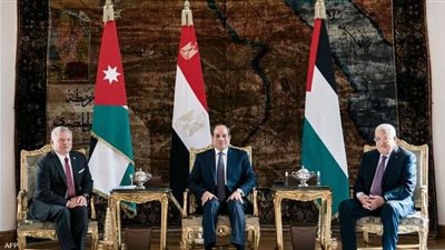 خاص ...خبير علاقات دولية: جهود مصر الدائمة تهدف إلى ضمان وجود شريك فلسطيني