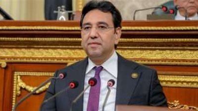 برلماني: صندوق مصر السيادي نجح في جذب 43% من إجمالي الاستثمار الأجنبي المباشر