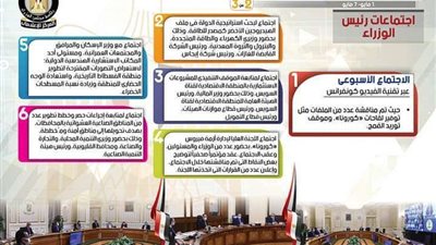 بالإنفو جراف... الحصاد الأسبوعي لمجلس الوزراء خلال الفترة من 1 حتى 7 مايو 2021