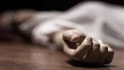 مقتل شخص على يد نجل شقيقه بآله حادة في الدقهلية