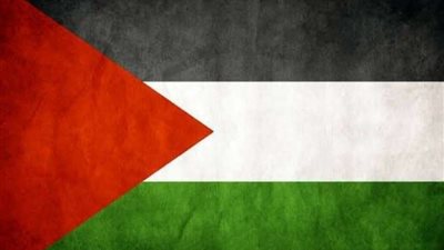 محمد إمام يعلن تضامنه مع فلسطين لمساندة أهالي 