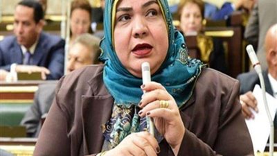 برلمانية: الحوار الوطني جاء في ظل تحديات صعبة رافعًا شعار المشاركة