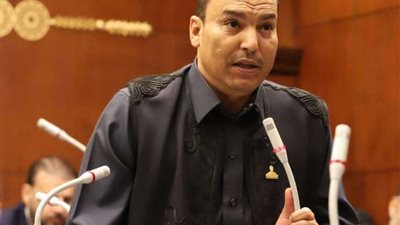 النائب رزق علواني: يشيد بالاستقبال الحافل للرئيس في مطروح