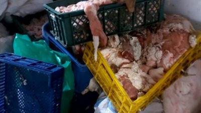 ضبط 290 كيلو لحوم فاسدة خلال حملات تموينيه بالمنوفية