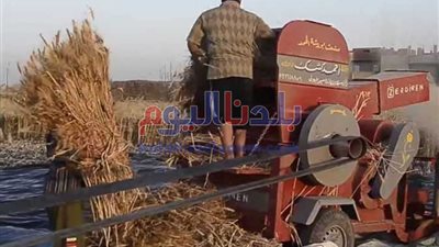 بتر يد عامل 