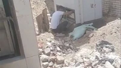 فيديو يوثق سرقة كابلات التليفونات والإنترنت بالشرقية