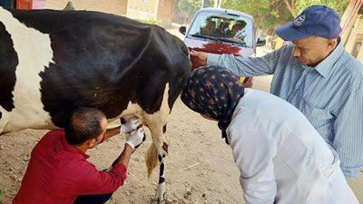 مديرية الطب البيطري بالجيزة تقدم بجهودها لـ1005 حيوان بالحيزة