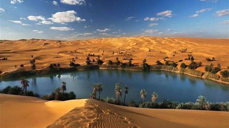 واحة سيوة