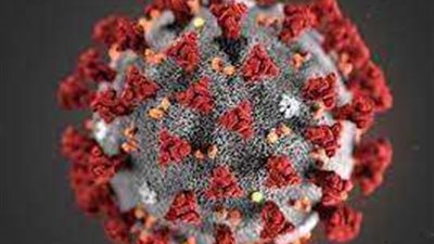 منظمة الصحة العالمية تحدد الدول  الأعلى تسجيلا للإصابة بالمتحور 