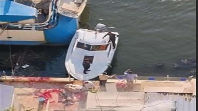 ضبط المسئول عن عائمة لذبح ماشية وإلقاء مخلفاتها بمياه النيل| صور